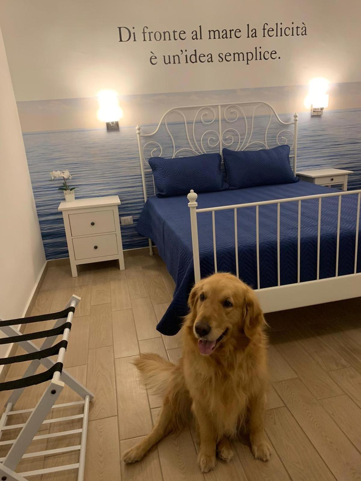 Mareluna Rooms 玛格丽塔萨沃亚 外观 照片